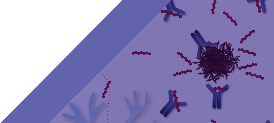 Mechanism Of Action | LEQEMBI® (lecanemab-irmb)